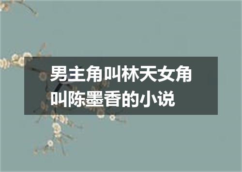 男主角叫林天女角叫陈墨香的小说