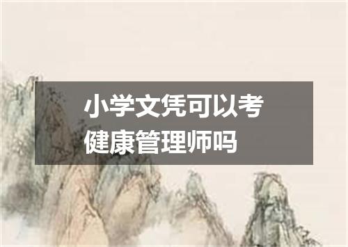 小学文凭可以考健康管理师吗
