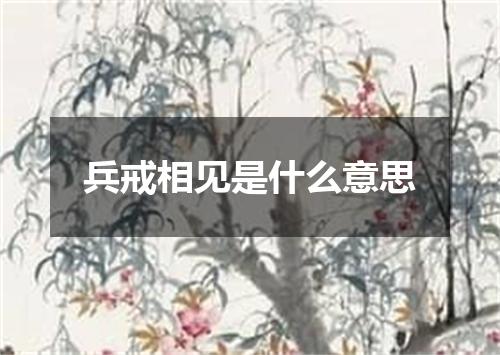 兵戒相见是什么意思