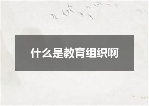 什么是教育组织啊