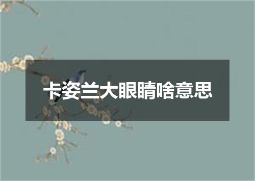 卡姿兰大眼睛啥意思