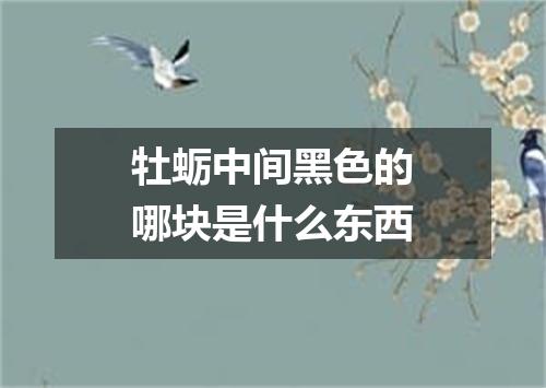 牡蛎中间黑色的哪块是什么东西