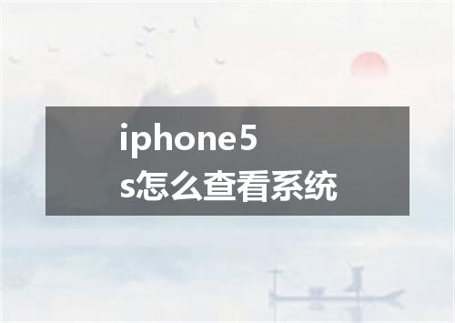 iphone5s怎么查看系统