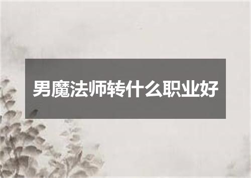 男魔法师转什么职业好