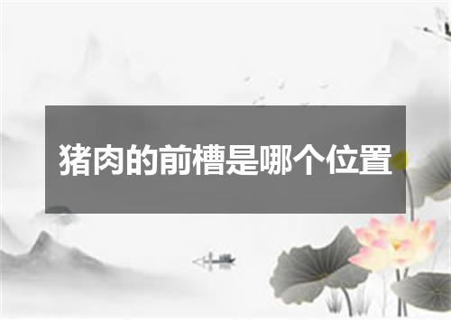 猪肉的前槽是哪个位置