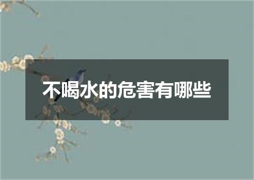 不喝水的危害有哪些