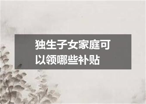 独生子女家庭可以领哪些补贴