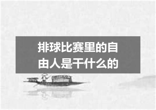 排球比赛里的自由人是干什么的