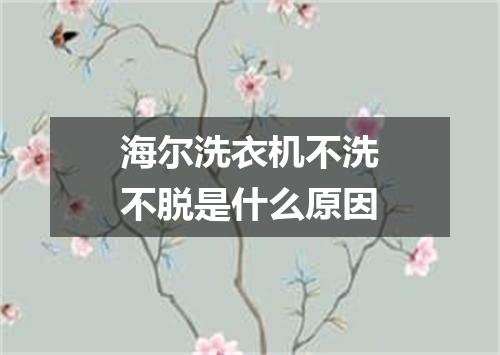 海尔洗衣机不洗不脱是什么原因