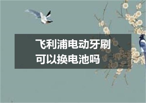 飞利浦电动牙刷可以换电池吗