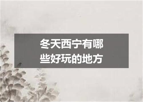 冬天西宁有哪些好玩的地方