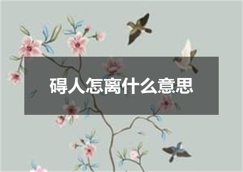 碍人怎离什么意思