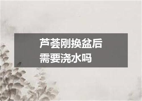 芦荟刚换盆后需要浇水吗