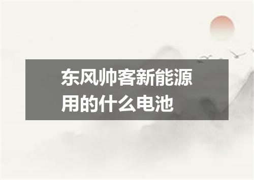 东风帅客新能源用的什么电池