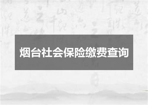 烟台社会保险缴费查询