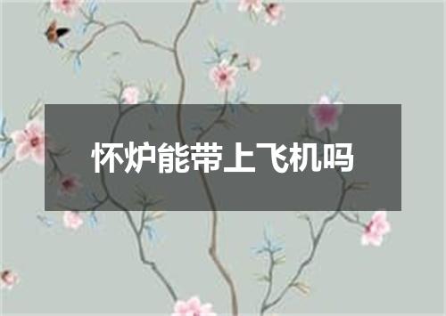 怀炉能带上飞机吗