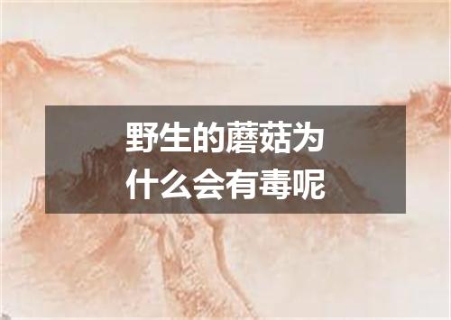 野生的蘑菇为什么会有毒呢