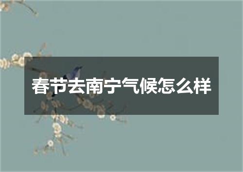 春节去南宁气候怎么样