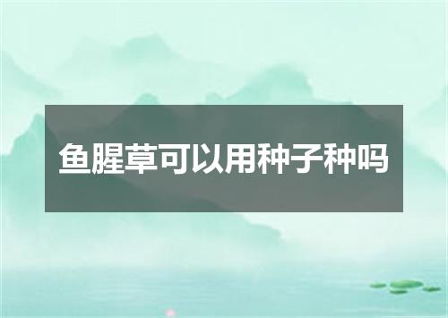 鱼腥草可以用种子种吗