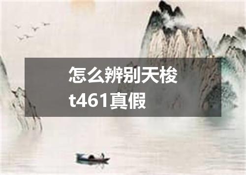怎么辨别天梭t461真假