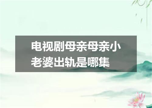 电视剧母亲母亲小老婆出轨是哪集