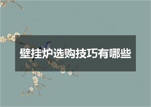 壁挂炉选购技巧有哪些