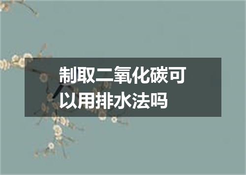 制取二氧化碳可以用排水法吗