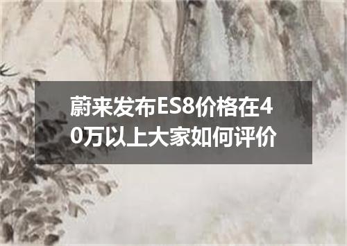蔚来发布ES8价格在40万以上大家如何评价