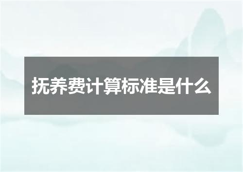 抚养费计算标准是什么