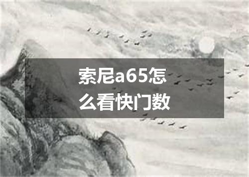 索尼a65怎么看快门数