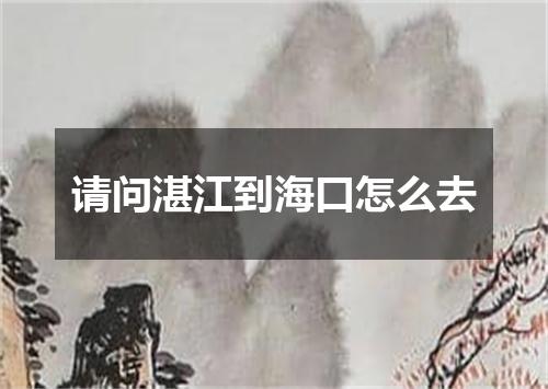 请问湛江到海口怎么去