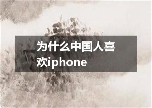 为什么中国人喜欢iphone