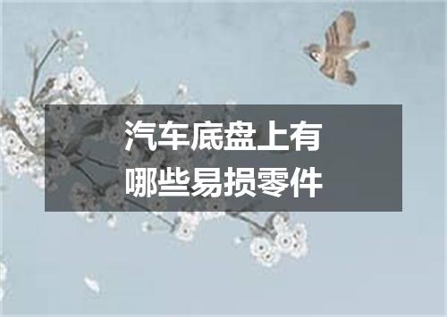 汽车底盘上有哪些易损零件