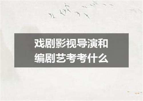 戏剧影视导演和编剧艺考考什么