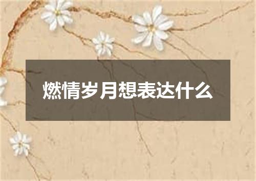 燃情岁月想表达什么