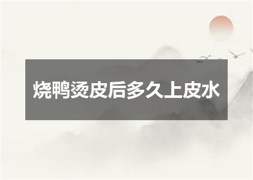 烧鸭烫皮后多久上皮水