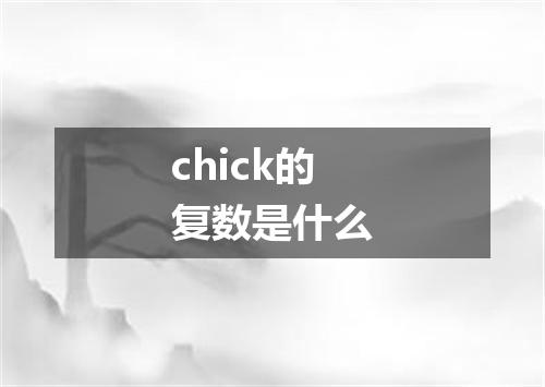chick的复数是什么