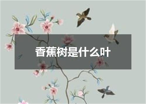 香蕉树是什么叶