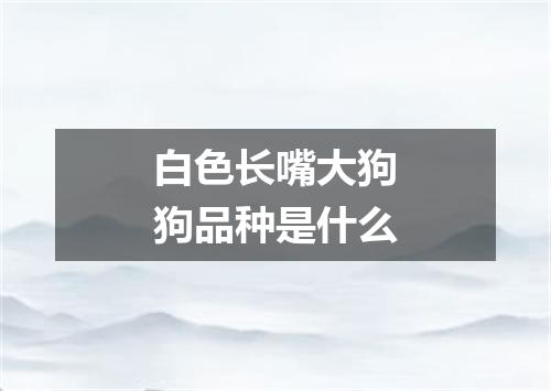 白色长嘴大狗狗品种是什么