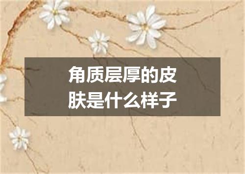 角质层厚的皮肤是什么样子