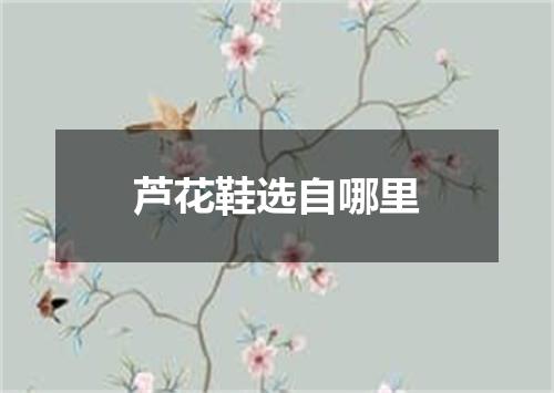 芦花鞋选自哪里