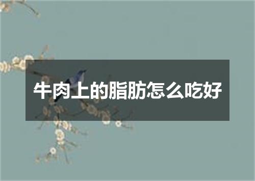 牛肉上的脂肪怎么吃好