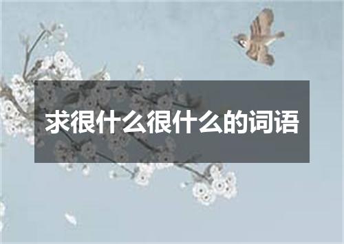 求很什么很什么的词语