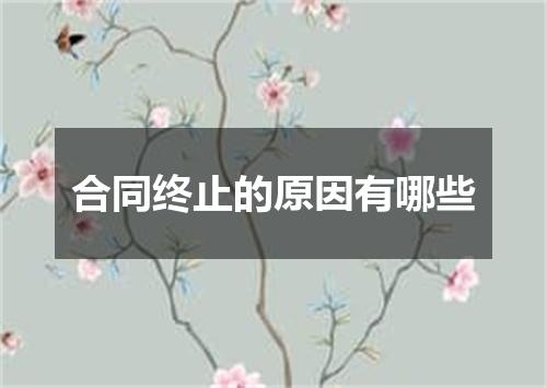 合同终止的原因有哪些