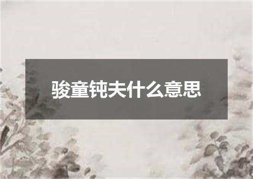 骏童钝夫什么意思