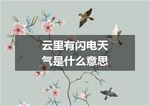 云里有闪电天气是什么意思
