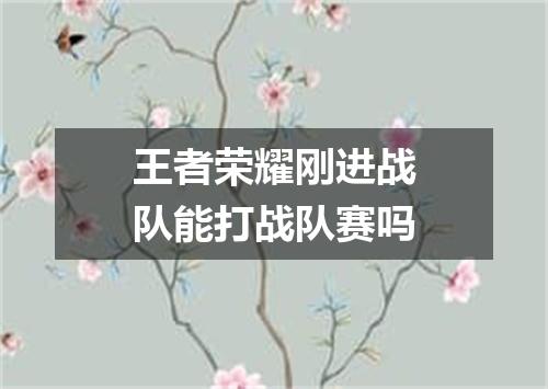 王者荣耀刚进战队能打战队赛吗