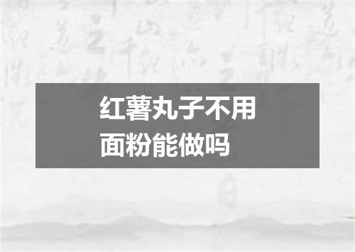 红薯丸子不用面粉能做吗