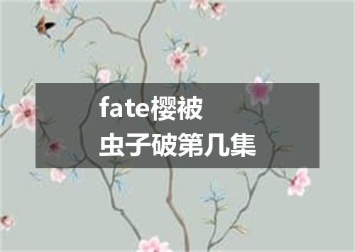 fate樱被虫子破第几集