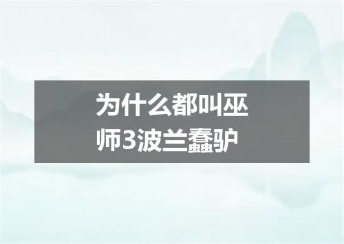 为什么都叫巫师3波兰蠢驴